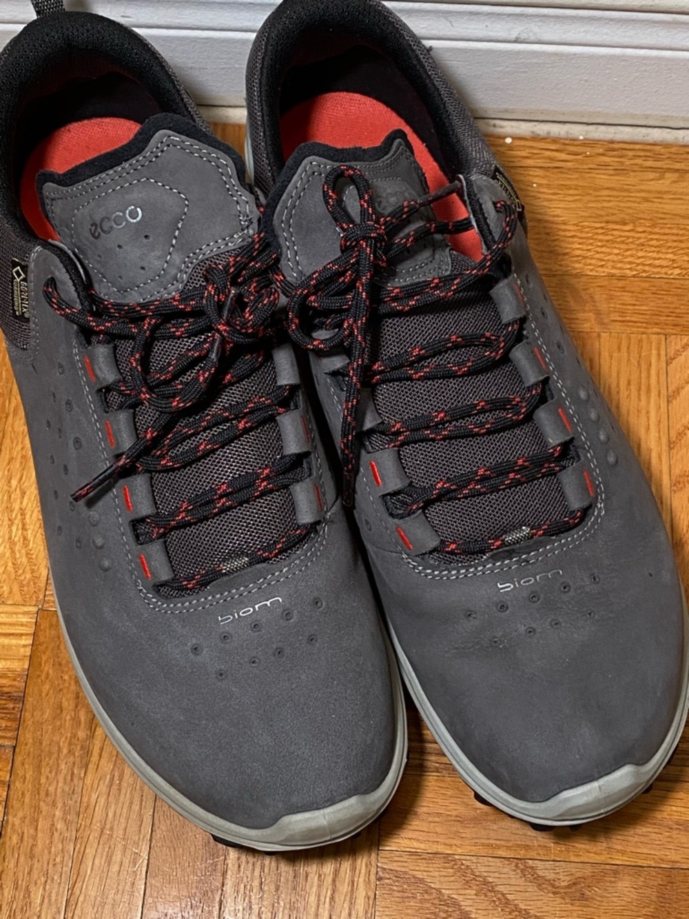 ECCO Women's Biom Venture Gore-Tex Tie hiking Shoe